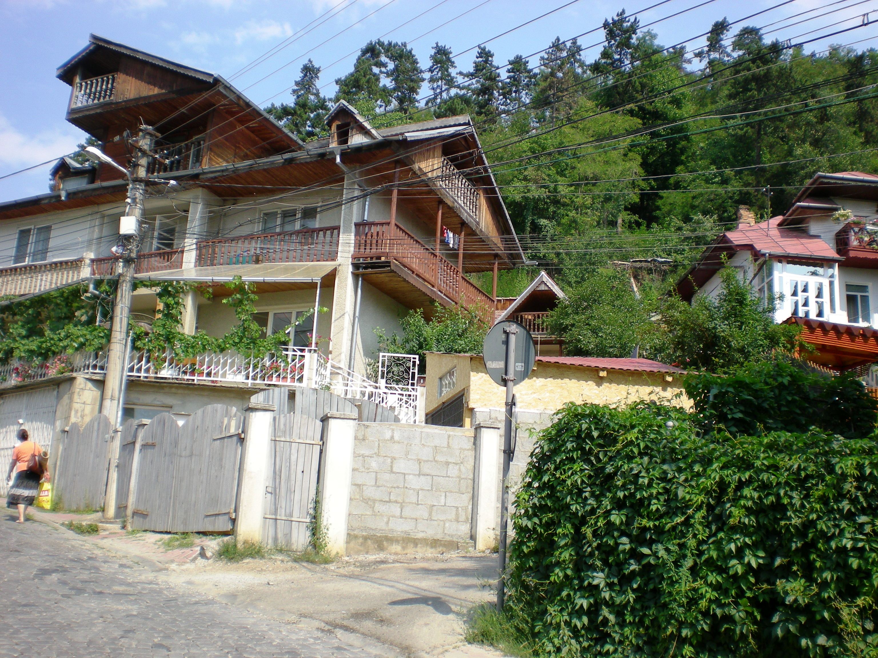 Negulesti